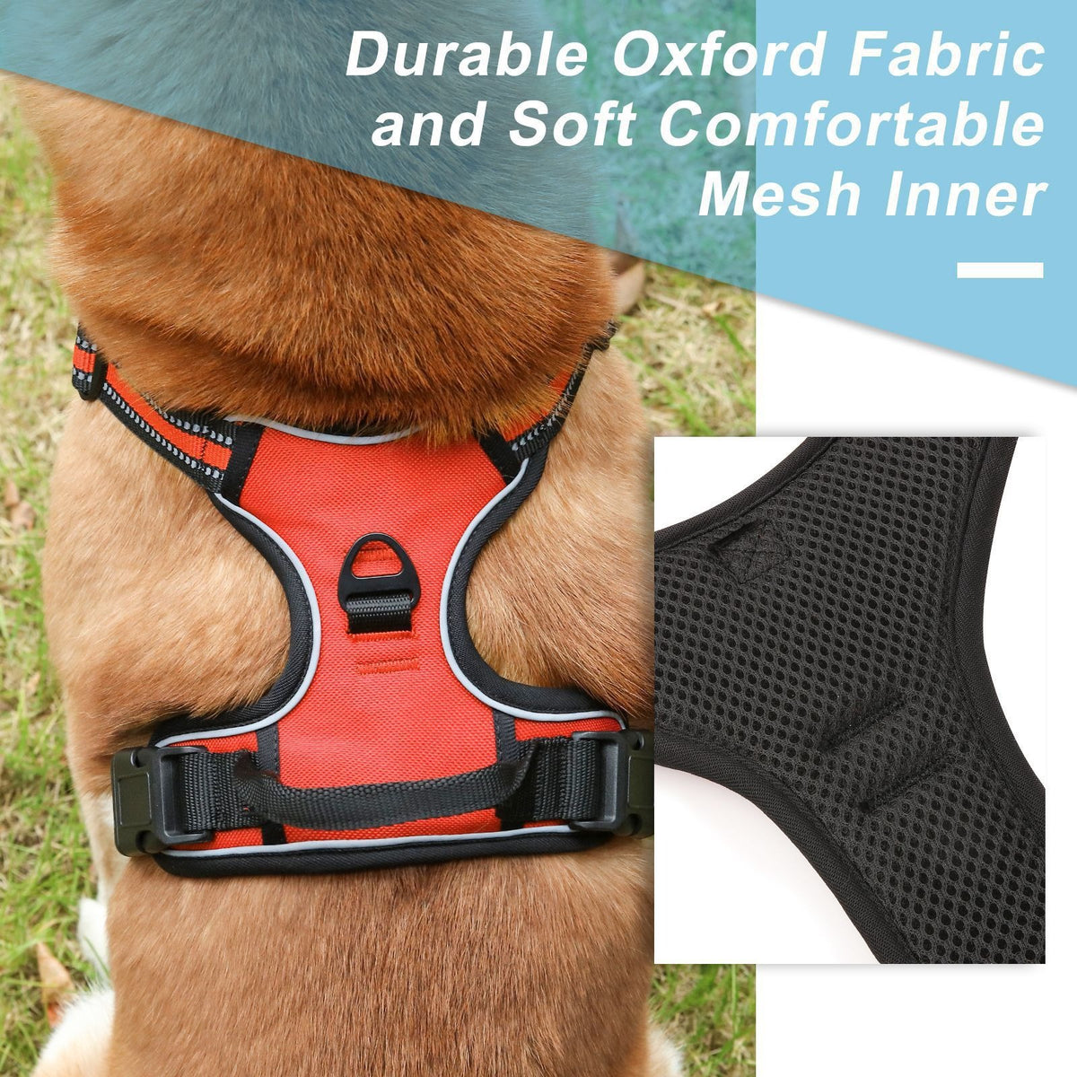 Reflective Adjustable Dog Chest Harness with Leash