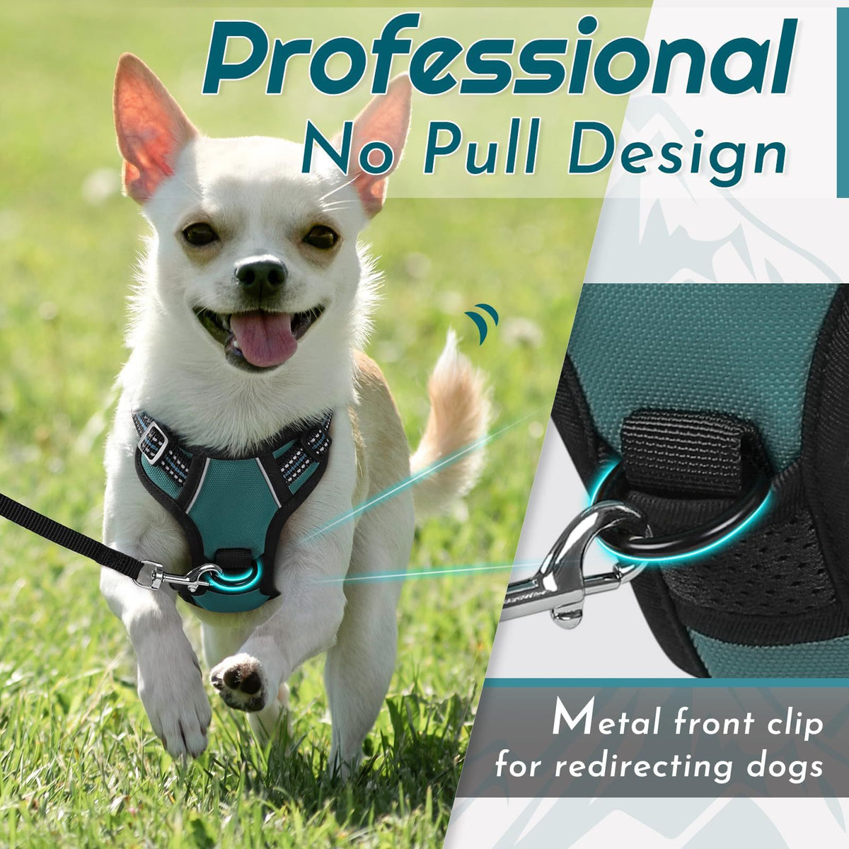 Reflective Adjustable Dog Chest Harness with Leash